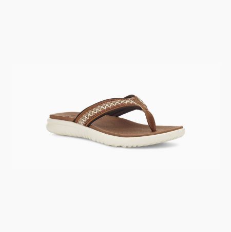 UGG Union Tasman Brown Flip Flops for Men (ROZH16940)